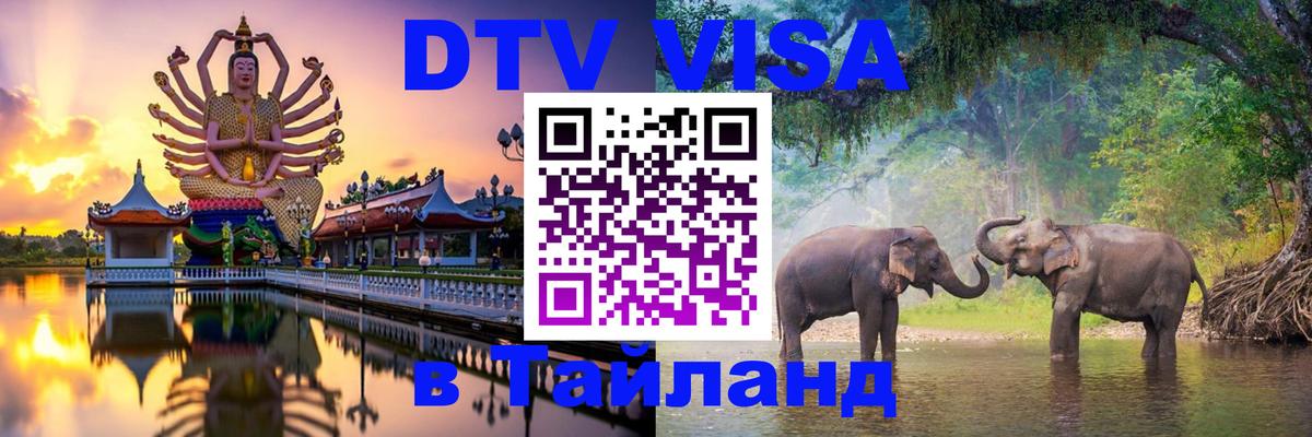 Оформление DTV визы под ключ: стоимость и тарифы, только загранпаспорт - Владимир  03.10.2025 